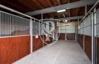 Manor House for sale Przedbórz, Łódź Region, Image 41/42