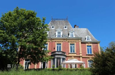 Castle for sale Fays, Wallonia, herzlich willkommen