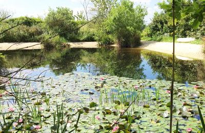 Manor House for sale Gémozac, New Aquitaine, Der Teich mit Sandstrand