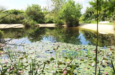 Manor House for sale Gémozac, New Aquitaine:  Der Teich mit Sandstrand