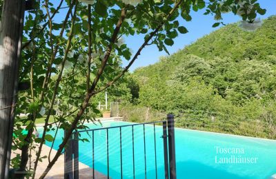 Country House for sale Gaiole in Chianti, Tuscany:  RIF 3003 Weg zum Pool