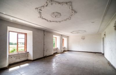 Historic Villa for sale Wodzisław, Brzezie 23, Holy Cross Region, Image 19/27