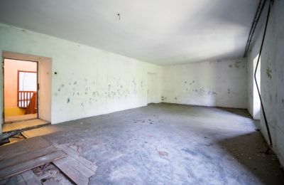 Historic Villa for sale Wodzisław, Brzezie 23, Holy Cross Region, Image 21/27