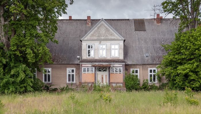 Abandoned Mecklenburg Manor to be auctioned off