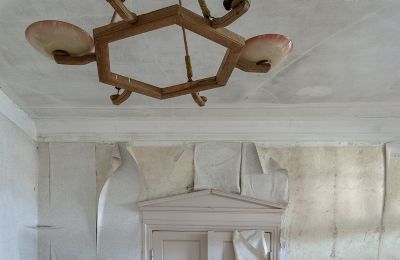 Abandoned Mecklenburg Manor to be auctioned off, Details