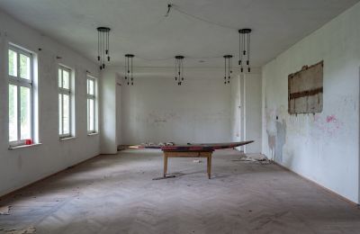 Abandoned Mecklenburg Manor to be auctioned off, Ballroom