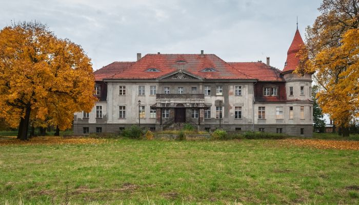 Castle Karczewo 1