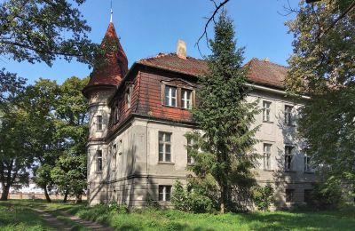 Castle for sale Karczewo, Greater Poland Voivodeship:  Side view