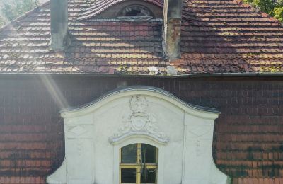 Castle for sale Karczewo, Greater Poland Voivodeship:  Roof