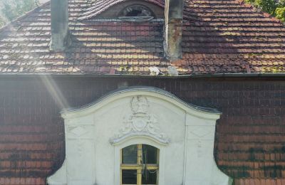Castle for sale Karczewo, Greater Poland, Roof