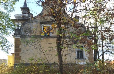 Historic Villa for sale Lubsko, Milosza 2, Lubusz, Image 7/7