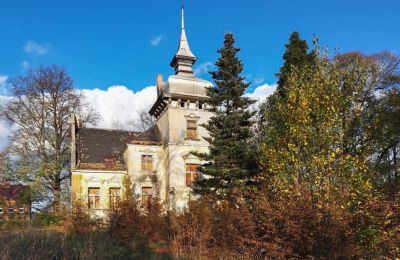 Historic Villa for sale Lubsko, Milosza 2, Lubusz, Image 1/7