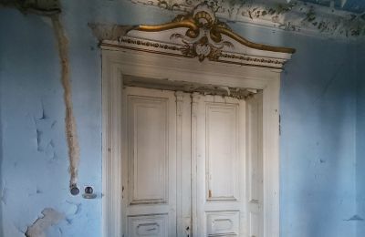 Historic Villa for sale Lubsko, Milosza 2, Lubusz, Details