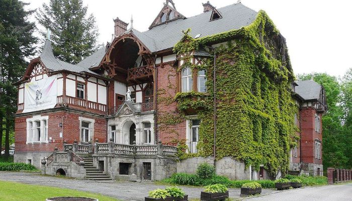 Historic Villa Kudowa-Zdrój 3