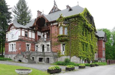 Historic Villa for sale Kudowa-Zdrój, Zdrojowa 36, Lower Silesian Voivodeship:  Side view