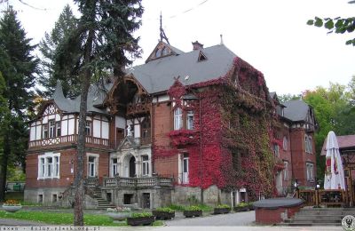 Historic Villa for sale Kudowa-Zdrój, Zdrojowa 36, Lower Silesia,, Image 4/6