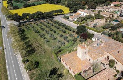 Farmhouse for sale Platja d'Aro, Catalonia:  Property