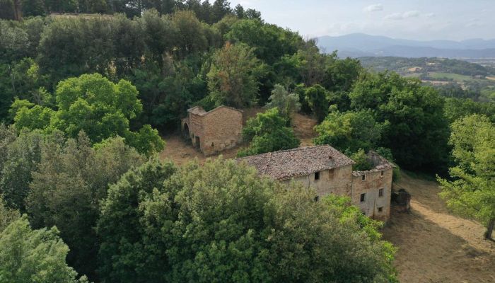 Farmhouse Città di Castello 2