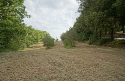 Country home for sale 06010 Citerna, Umbria, Image 12/23