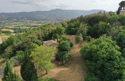 Country home for sale 06010 Citerna, Umbria, Image 3/23
