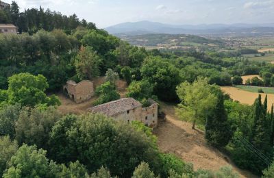 Farmhouse for sale Città di Castello, Umbria:  