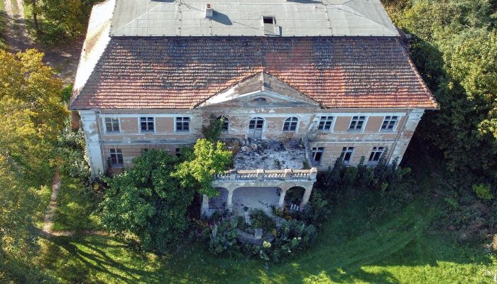 Neoclassical country house in Greater Poland, Confidential property listing