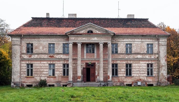 Castle Granówko 1