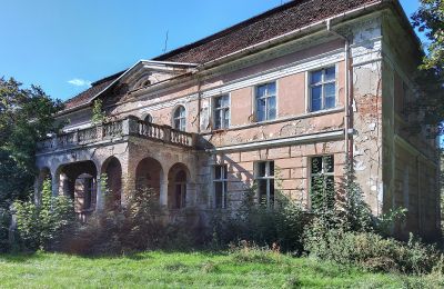 Castle for sale Granówko, Greater Poland, Image 15/16