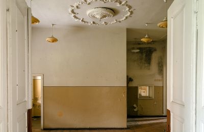 Castle for sale Granówko, Greater Poland, Interior Shot