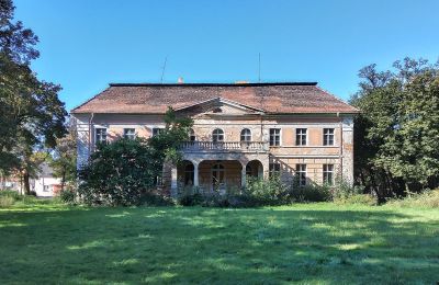 Castle for sale Granówko, Greater Poland, Back view