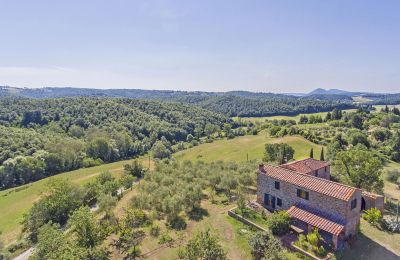 Farmhouse for sale Asciano, Tuscany:  RIF 2982 Vogelperspektive