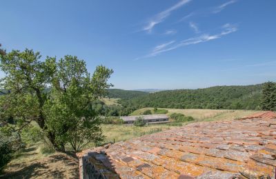 Farmhouse for sale Asciano, Tuscany:  RIF 2982 Blick auf Landschaft
