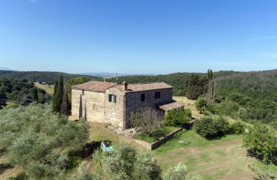 Farmhouse for sale Asciano, Tuscany:  RIF 2982 Ansicht Anwesen