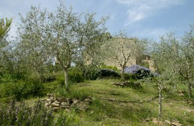 Church for sale 06060 Lisciano Niccone, Umbria, Image 23/30