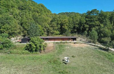 Country property for sale 06014 Montone, Umbria, Image 35/36