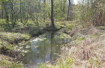 Historical park for sale Dębe Wielkie, Ruda, Mazovia, Image 11/24