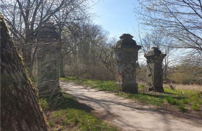 Historical park for sale Dębe Wielkie, Ruda, Mazovia, Image 2/24