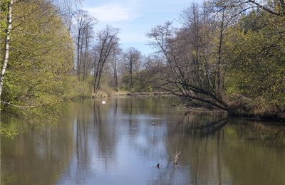 Historical park for sale Dębe Wielkie, Ruda, Mazovia, Image 14/24
