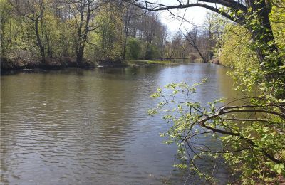 Historical park for sale Dębe Wielkie, Ruda, Mazovia, Image 15/24