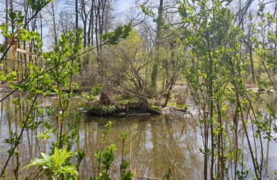 Historical park for sale Dębe Wielkie, Ruda, Mazovia, Image 17/24