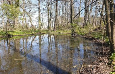 Historical park for sale Dębe Wielkie, Ruda, Mazovia, Image 16/24