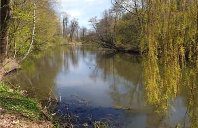 Historical park for sale Dębe Wielkie, Ruda, Mazovia, Image 22/24