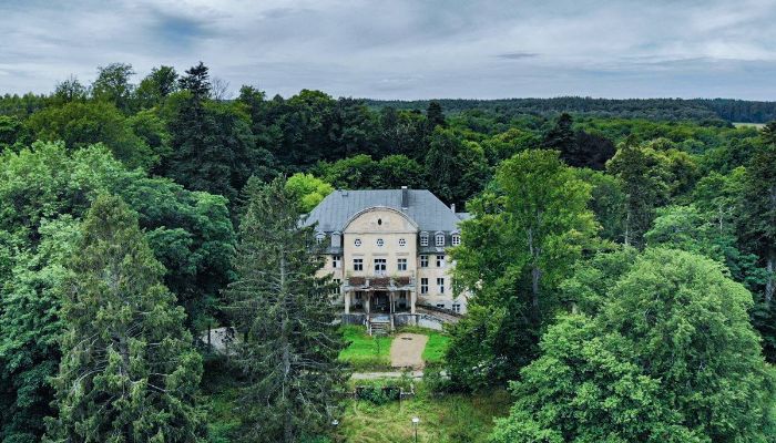 Castle for sale Trzcinno, Pomeranian Voivodeship,  Poland