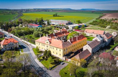 Castle for sale Cítoliby, Zamek Cítoliby, Ústecký kraj:  Drone