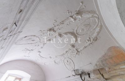Castle for sale Cítoliby, Zamek Cítoliby, Ústecký kraj, Stucco decorations
