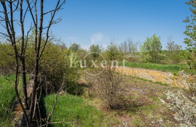 Castle for sale Brody, Zámek Brody, Ústecký kraj, Image 14/19