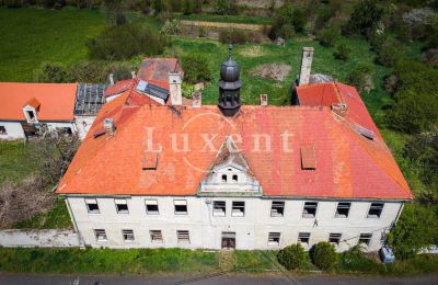 Castle for sale Brody, Zámek Brody, Ústecký kraj:  Roof