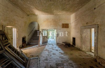 Castle for sale Brody, Zámek Brody, Ústecký kraj:  Entrance Hall