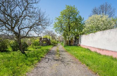 Castle for sale Brody, Zámek Brody, Ústecký kraj, Image 15/19