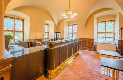 Castle for sale Mirošov, Zámek Mirošov, Plzeňský kraj, Image 19/30